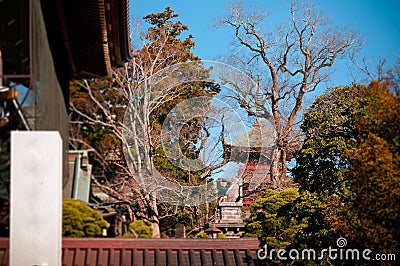 Narita san Shinsho ji temple, Narita, Chiba, Japan Stock Photo