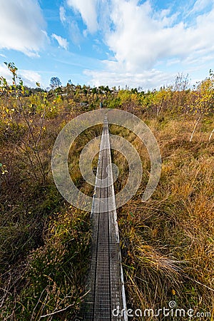Narrow boardwalk across a bog at fall Stock Photo