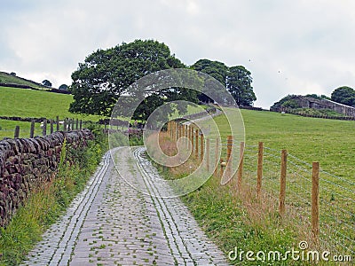 narrow cobble stone winding country lane surrounded by stone walls fences trees and green fields in west yorkshire countryside Stock Photo