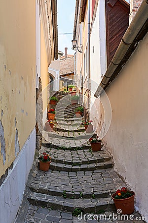 Narrow cobblestone street with steps in Medieval town lined with flower pots Stock Photo