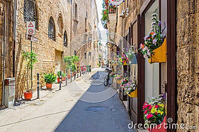 Narrow cobblestone street in Taranto historical city center. Typical italian street with flowers in pots Stock Photo