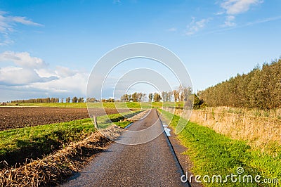 Narrow country road in a Dutch autumn landscape Stock Photo