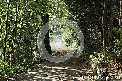 Descent from the hill in the park. Canada. Stock Photo