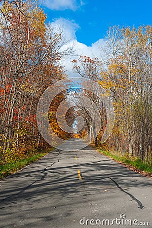 Road in a fall forest Stock Photo