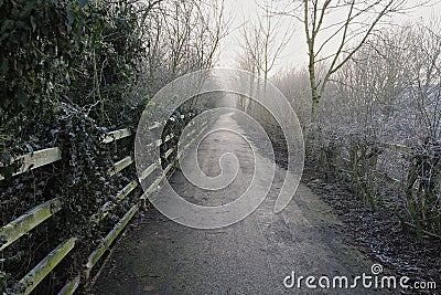 A narrow footpath recedes in to the mist Stock Photo