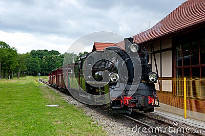 Narrow-gauge railway locomotive Stock Photo