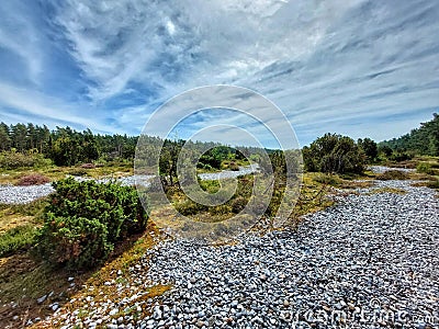 Narrow heath with firestone fields - a nature reserve on Ruegen in northern Germany Stock Photo