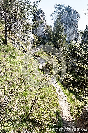 Narrow hiking trail in spring mountains with limestone rocks Stock Photo
