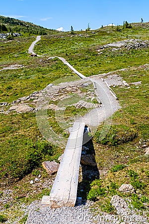 Narrow hiking trail in alpine nature Stock Photo