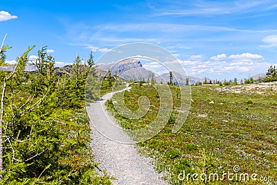 Narrow hiking trail in alpine nature Stock Photo