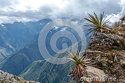 Narrow path on the hiking trail at high altitude Peruvian mountains between Maizal and Yanama, Peru Stock Photo