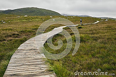 Narrow pathway in Connemara National Park in Ireland under a cloudy sky Stock Photo