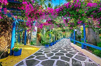 Narrow paved street full of colorful flowers in Sisi, Crete. Stock Photo