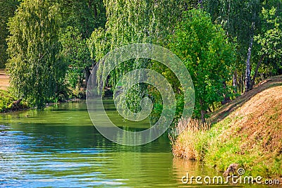 Narrow river and hanging green trees Stock Photo