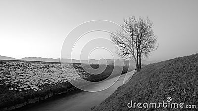 Narrow river with soft water flows in winter towards horizon in black and white Stock Photo