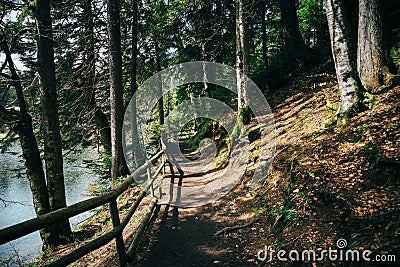 Narrow road, small path on the bank of the mountain lake surrounded by forest, harmony of nature Stock Photo