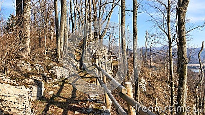 Narrow rural mountain path with a wooden railing and bare thin trunk trees in the winter Stock Photo