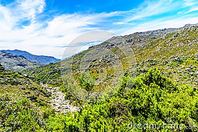 The narrow and scenic Bainskloof Pass through the Witte River or Witrivier Canyon between the towns Ceres and Wellington Stock Photo