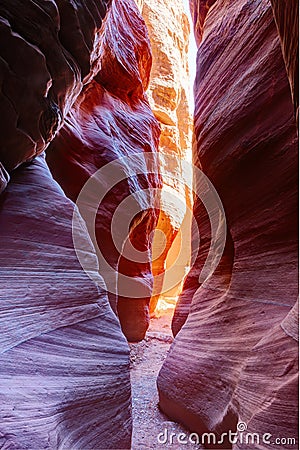 Narrow slot canyon Wire Pass leading into Buckskin Gulch, Paria Canyon-Vermilion Cliffs Wilderness, near the Utah-Arizona border, Stock Photo