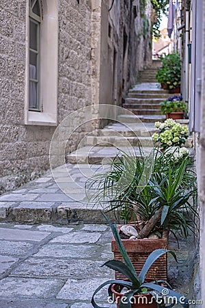 Korcula Island, Dalmatia Croatia Stock Photo