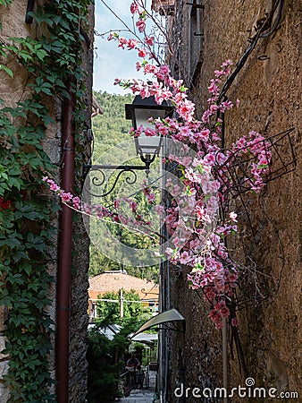 Narrow Street with Ancient Walls, antique Lamp Post and Pink Flowers in the Village of Colonnata, Carrara- Italy Stock Photo