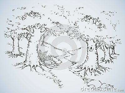 Path among oak groves. Vector drawing Vector Illustration