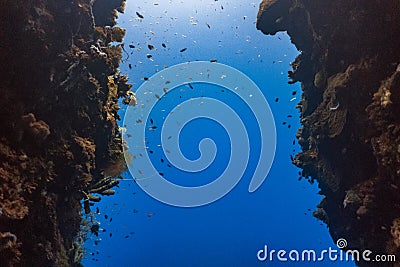 Narrow underwater crevice Stock Photo