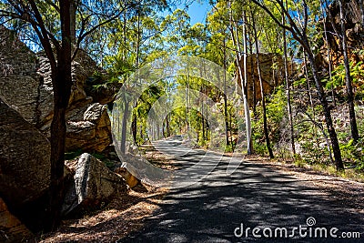 A narrow winding forest road in Blackdown Tableland National Park, Queensland, Australia Stock Photo