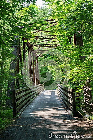 A narrow wood and metal bridge emerges from a forest canopy Stock Photo