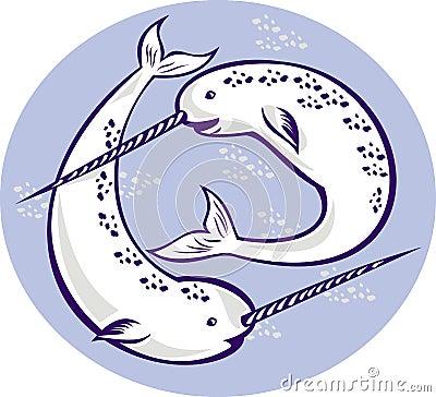 Narwhal Monodon monoceros unicorn whale Stock Photo