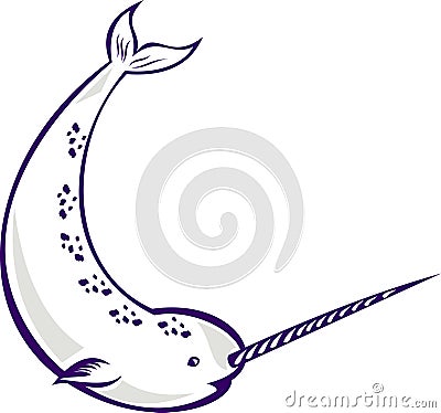 Narwhal Monodon monoceros unicorn whale Stock Photo