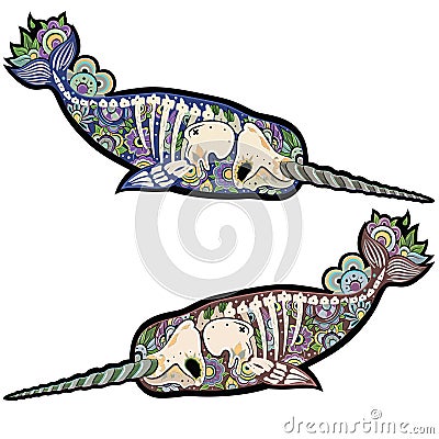 Narwhals Vector Illustration