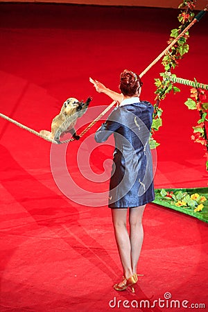 Nasough in circus. Small rodent making tricks on rope and beautiful tamer Editorial Stock Photo