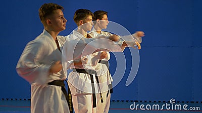 Nastolatkowie ćwiczy karate uderza pięścią trenować dla kata zbiory wideo Nastolatkowie ćwiczy karate uderza pięścią trenować dla kata zbiory wideo