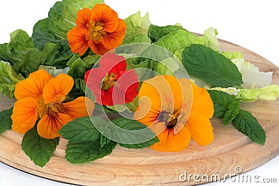 Nasturtian Flower and Herb Salad Stock Photo