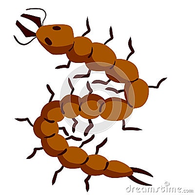 Nasty insect. Centipede and millipede. Flat cartoon isolated on white. Long worm with spikes. Brown Earwig Vector Illustration