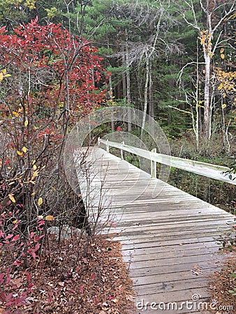 Natick Nature Trail Stock Photo