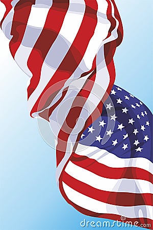 The national flag of the USA Vector Illustration