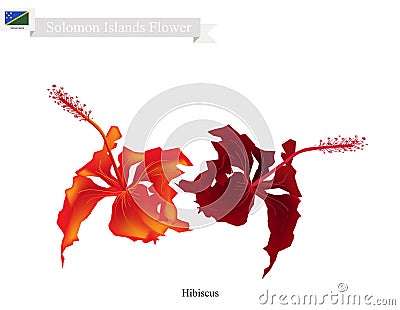 National Flower of Solomon, The Hibiscus Flowers Vector Illustration