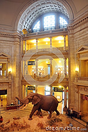 National Museum Of Natural History Editorial Image | CartoonDealer.com