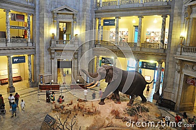 National Museum of Natural History, Washington DC, USA Editorial Stock Photo