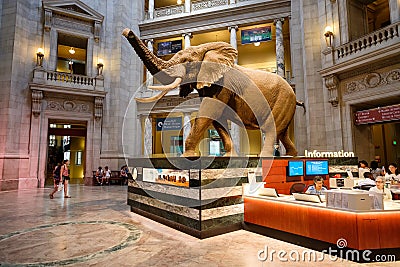 National Museum of Natural History in Washington D.C. Editorial Stock Photo