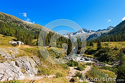 National Park of Adamello Brenta - Italy Stock Photo