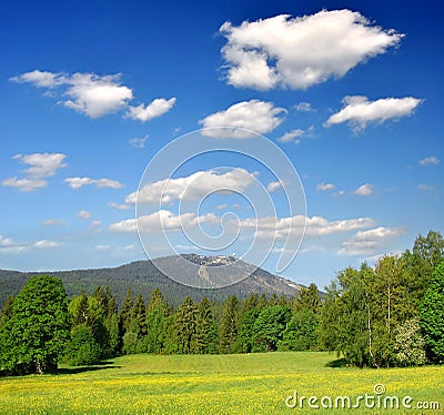 National Park Bavarian Forest - Germany Stock Photo