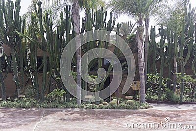 NATIONAL PARK OF CROCODILES IN MOROCCO Stock Photo