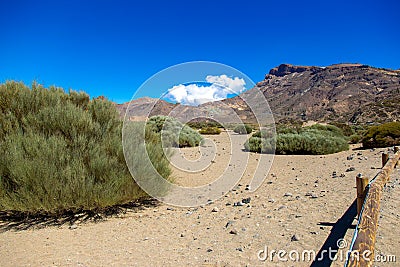 National park del Teide, view of magical park Stock Photo