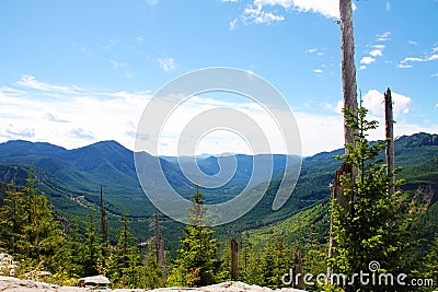 National park Mount Rainier in Norh America Stock Photo