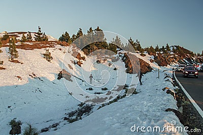 National Park Teide, Tenerife, Spain - February 26, 2016. Sunset time, pine tree forest. Winter on Tenerife mountains, covered by Editorial Stock Photo