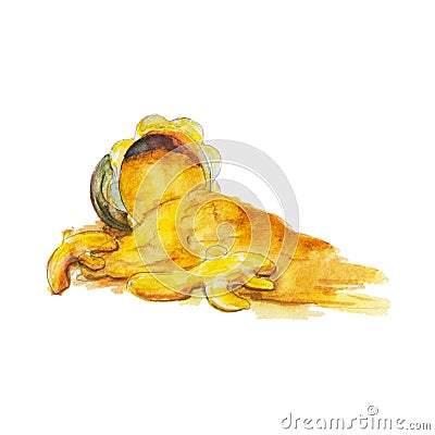 The national spice turmeric on white background, watercolor illustration Cartoon Illustration