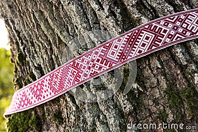 National symbols of Latvia - Lielvarde belt around the tree Stock Photo